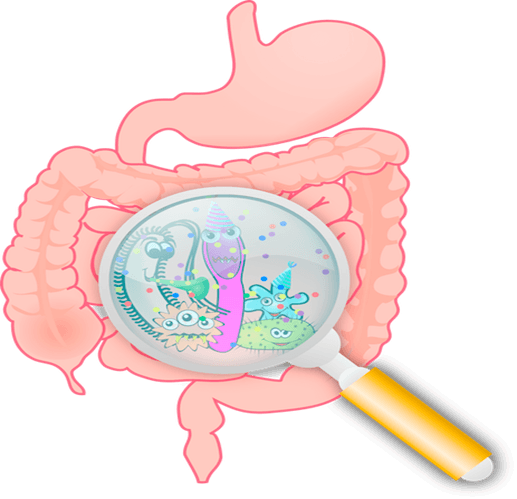 Illustration of the gut microbiome viewed through a magnifying glass.