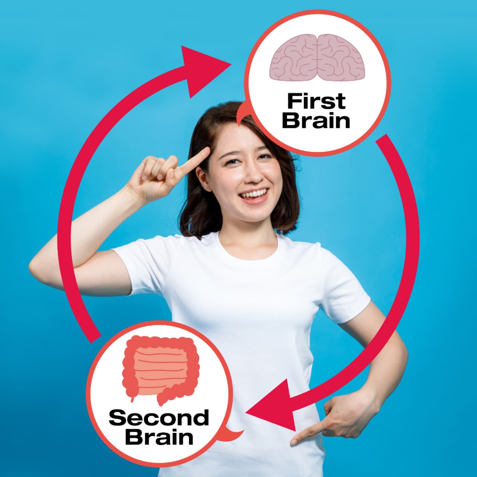 The gut as the “second brain”, connected to the first brain along the gut–brain axis.